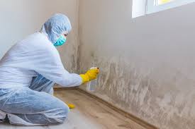 Best Commercial Mold Inspection  in Silver Lake, OH